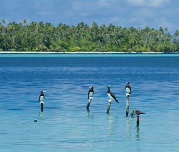 Отель Opoa Beach Raiatea Экстерьер фото